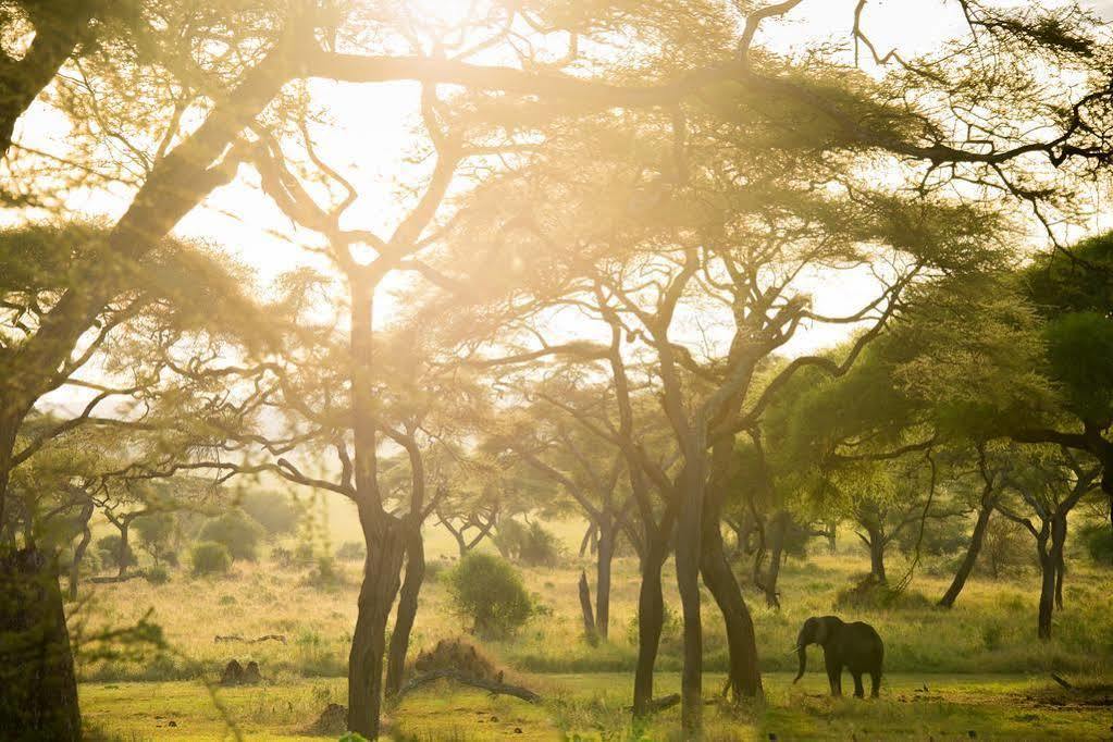 Hotel Sanctuary Swala Babati Exterior foto